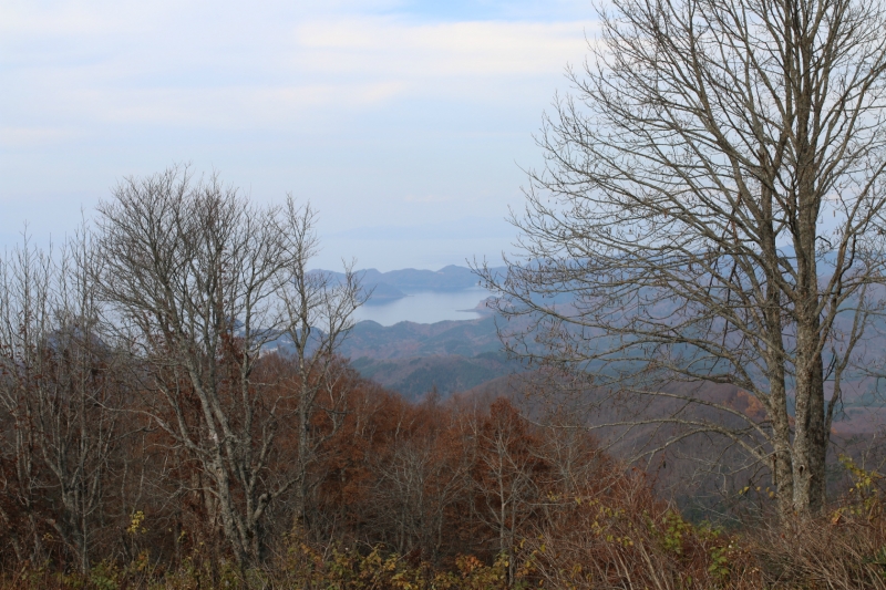 IMG_3925.jpg