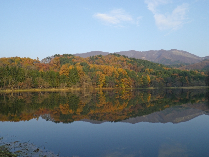 IMGP2482.jpg
