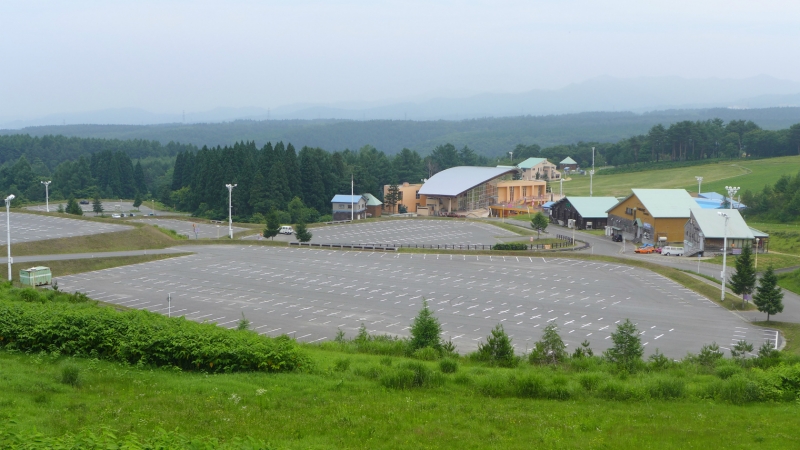 P1020517.jpg
