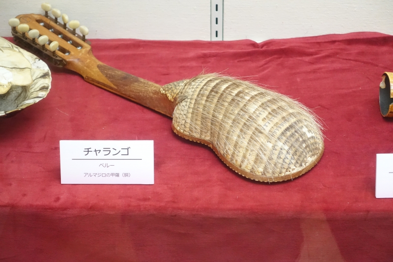 DSC00413.JPG