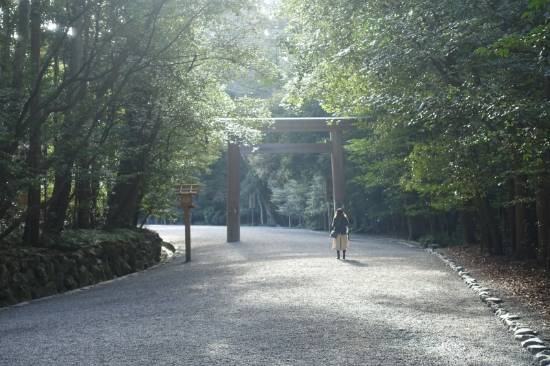 DSC00603.JPG