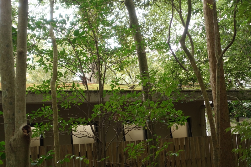 DSC00681.JPG