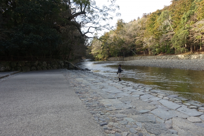 DSC00600.JPG