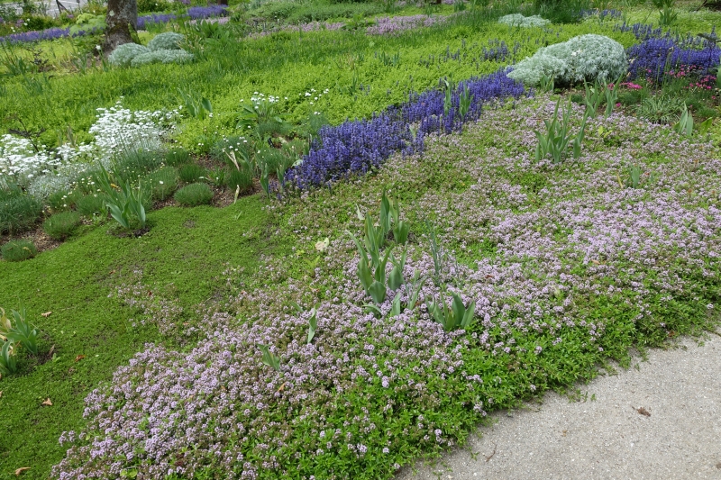 DSC01142.JPG