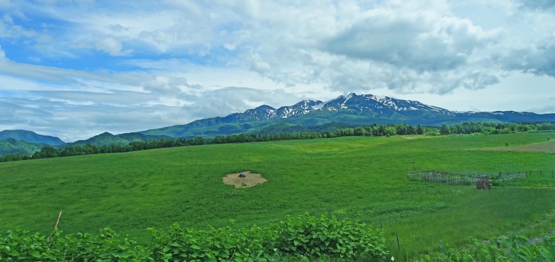 DSC01147b.jpg