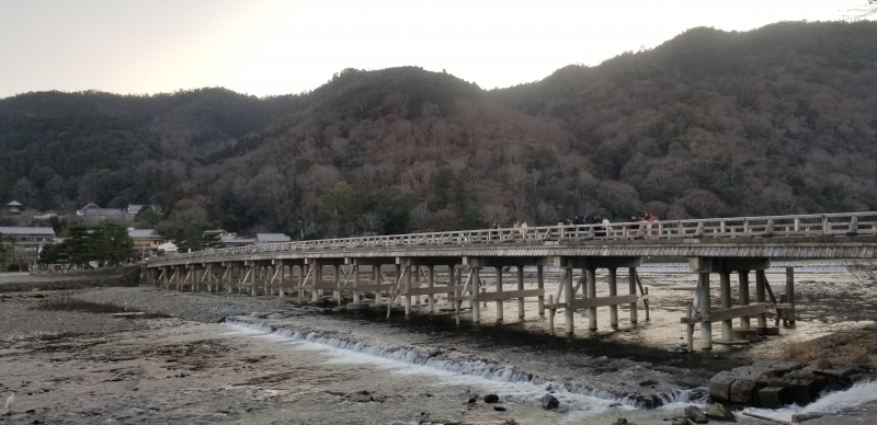 20190130_163209.jpg