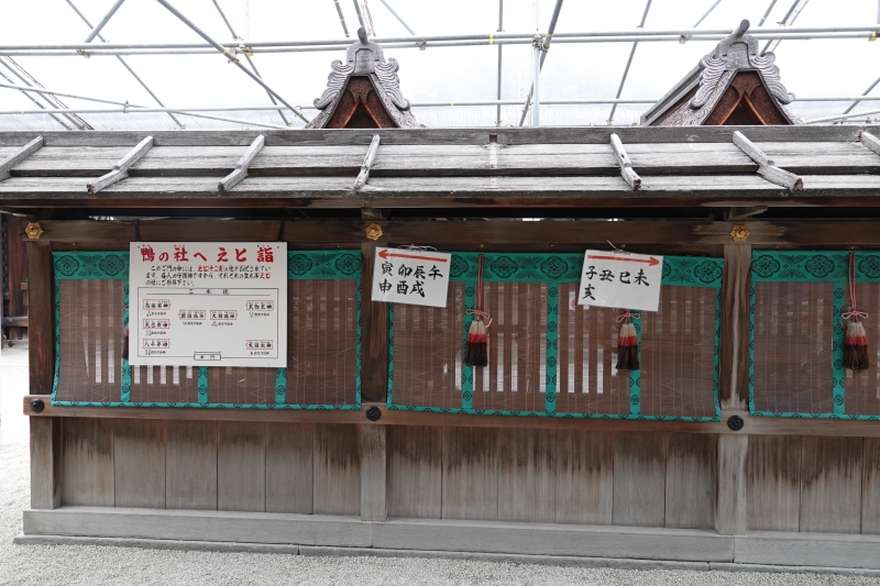 DSC04202.JPG