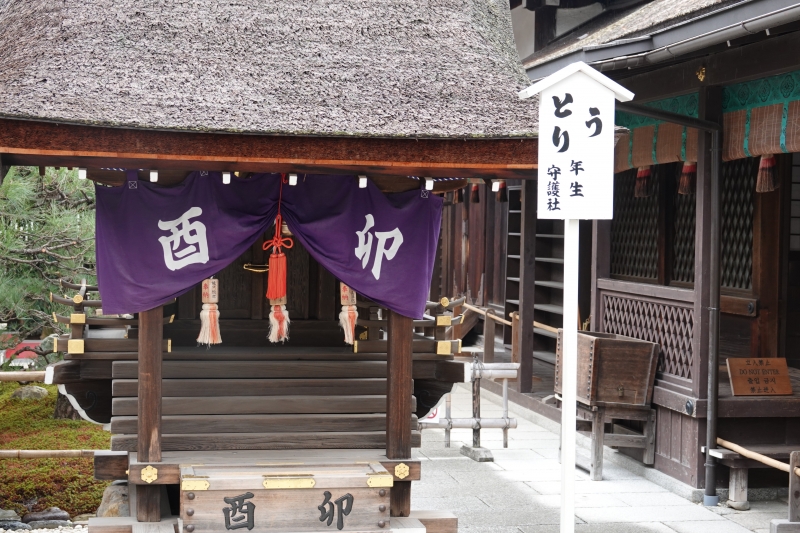DSC04203.JPG