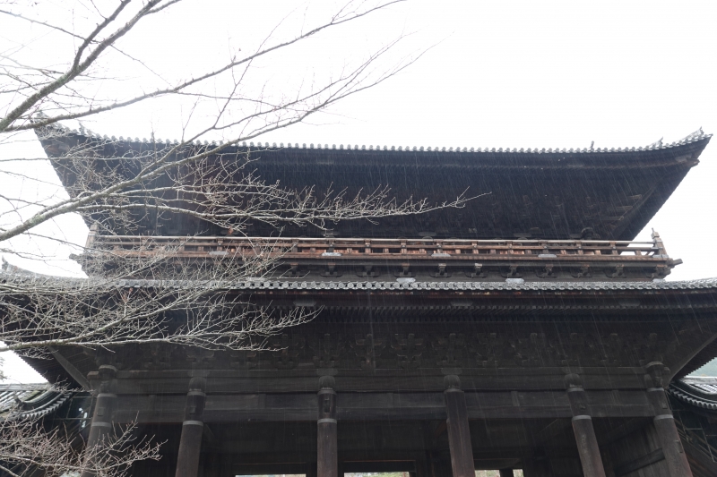 DSC04214.JPG