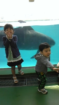 DVC00140.jpg