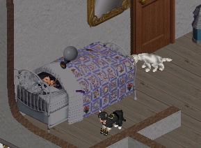 懐かれた