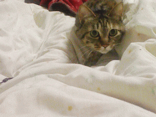 近づいてくるマルコ