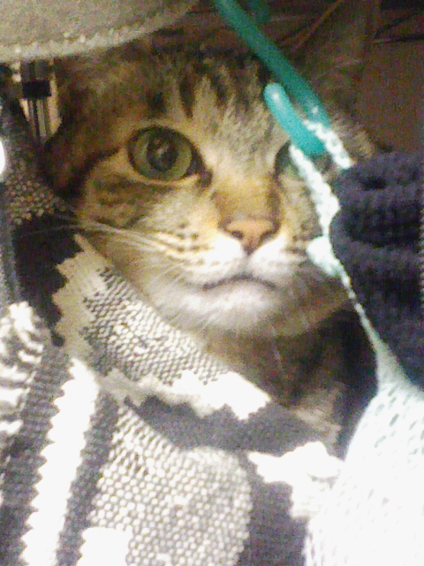気づいたマルコ