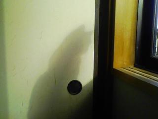 猫の影