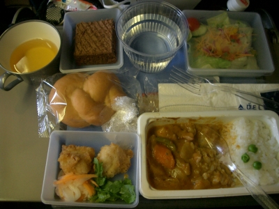 デルタ航空機内食1(日→米)