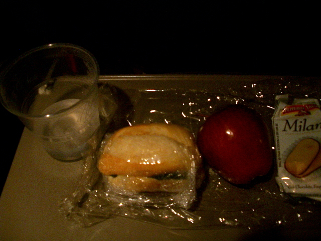 デルタ航空機内食4(米→日)
