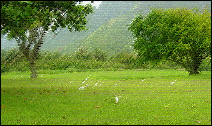荒いパステル画