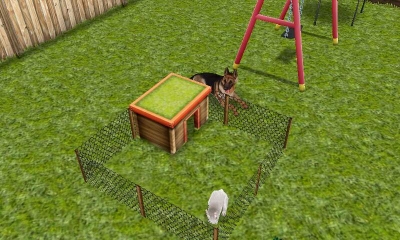 ウサギと犬