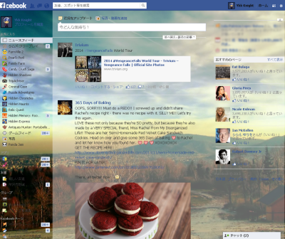 Facebook skins