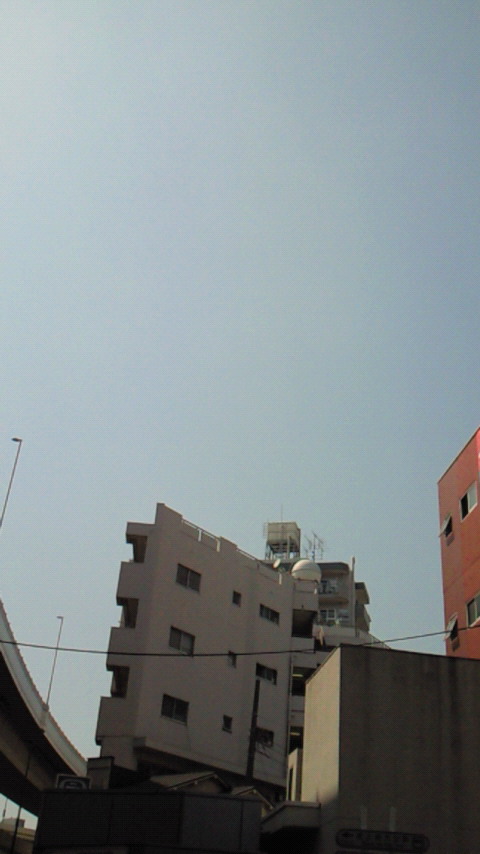 NEC_0491.jpg