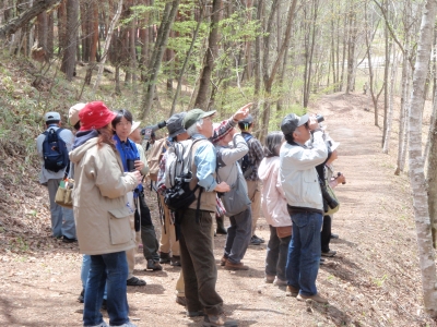 冬鳥観察会