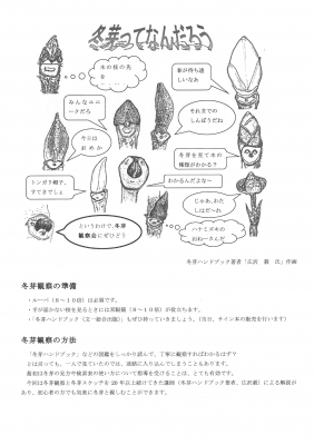 冬芽観察会