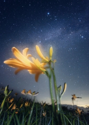星景写真展