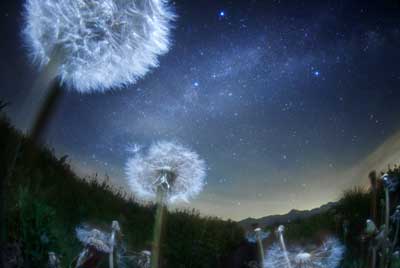 星景写真展2014