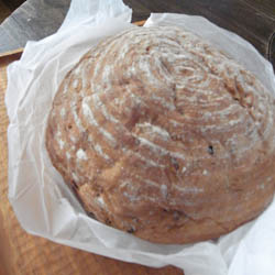 pan2