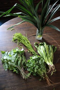 thaiherb