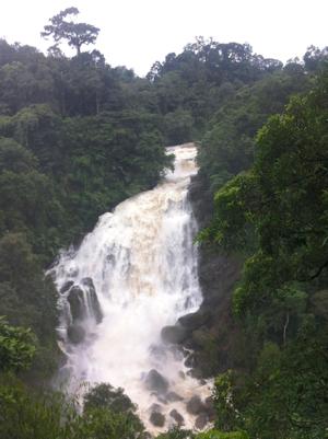 munnar-2