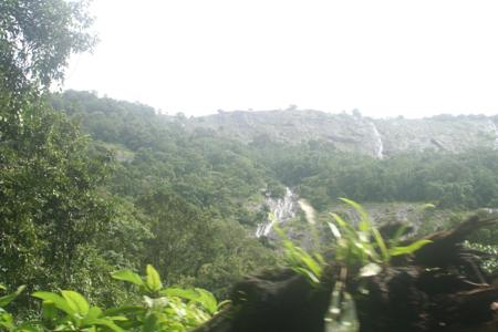 munnar-3