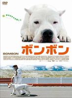 ボンボン
