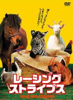 レーシング・ストライプス