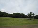 2015.6.9