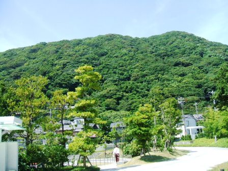 葉山5