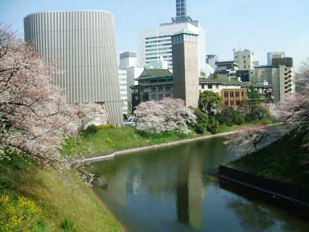 千鳥ヶ淵桜花見3