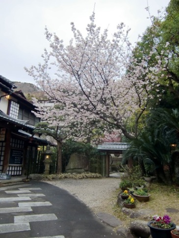 玉樟園新井1
