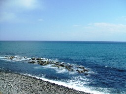 真鶴の海1