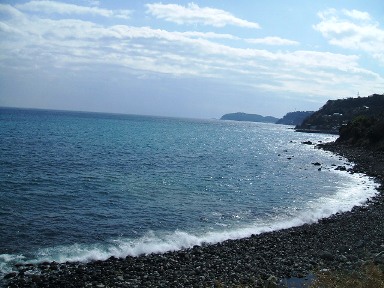 真鶴の海2