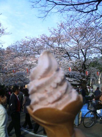 上野公園桜花見6