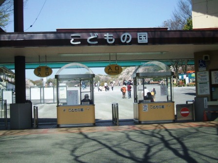 こどもの国の桜・花見1