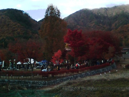 河口湖の紅葉1