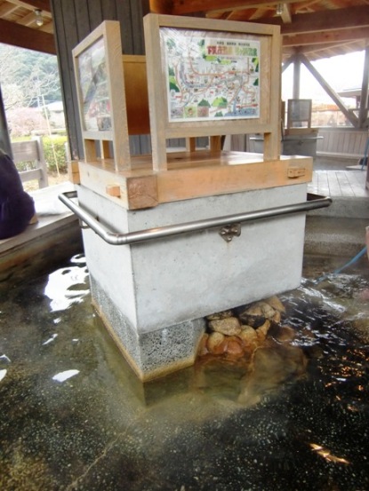 下賀茂のカワズサクラ4
