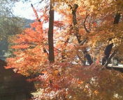20091206134005.jpg