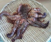 20100221104206.jpg