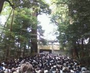 20100504123110.jpg