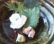 20100724170529.jpg