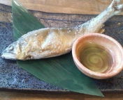 20100724171654.jpg