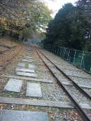 101113_095932_ed.jpg